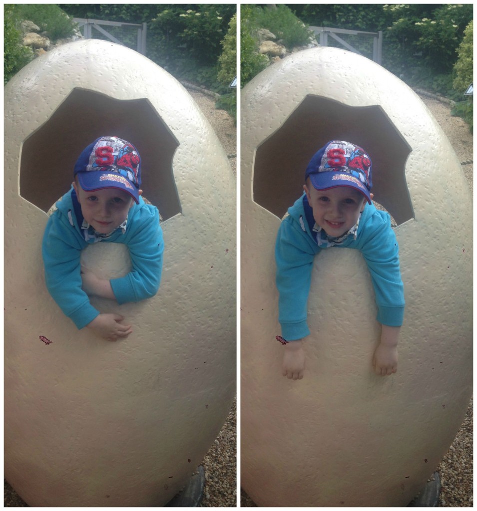 eggjack