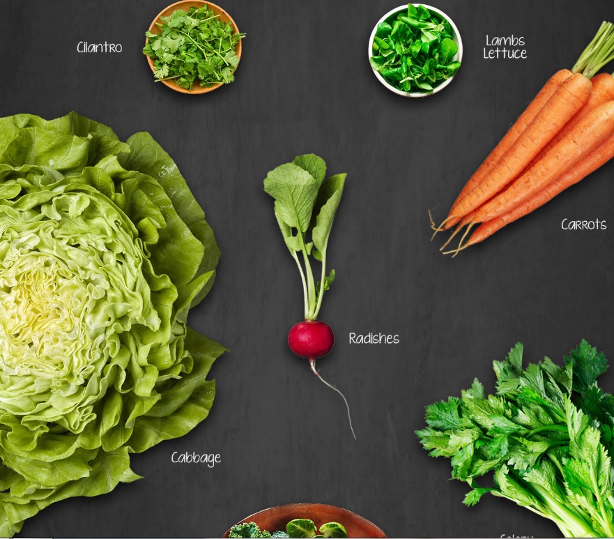 ediblegardening2