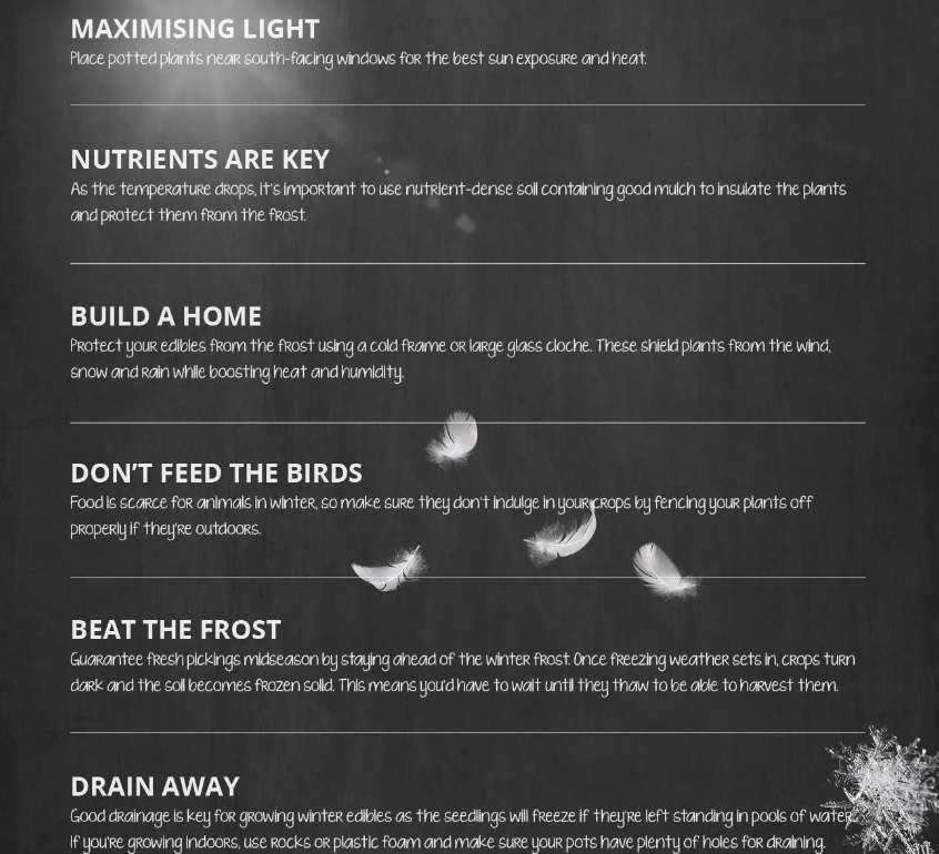 ediblegardening7