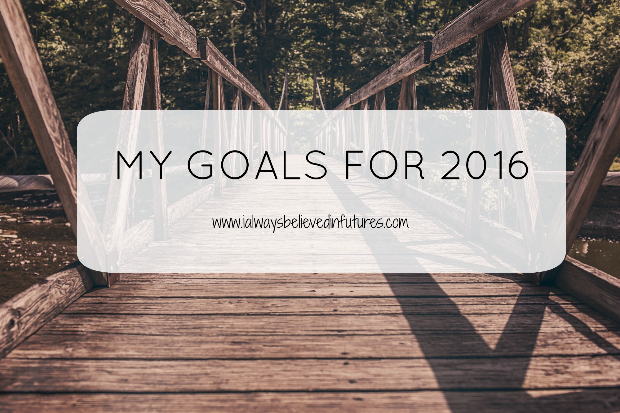 goals for 2016