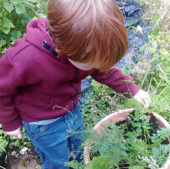 growing your own