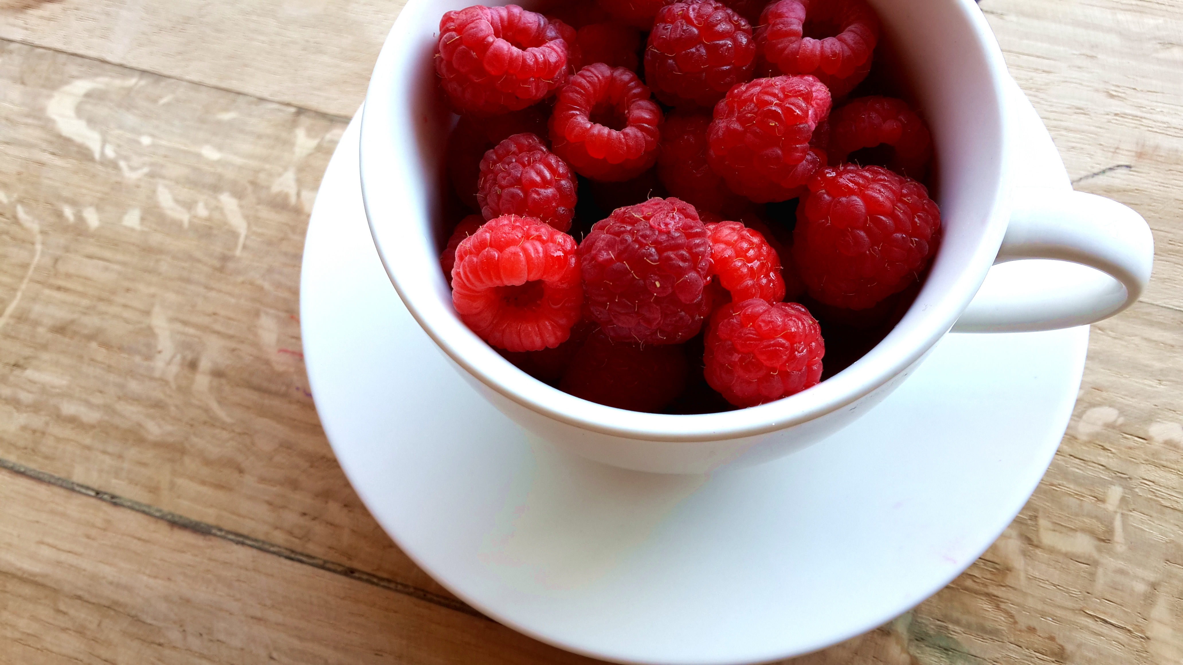 fruit