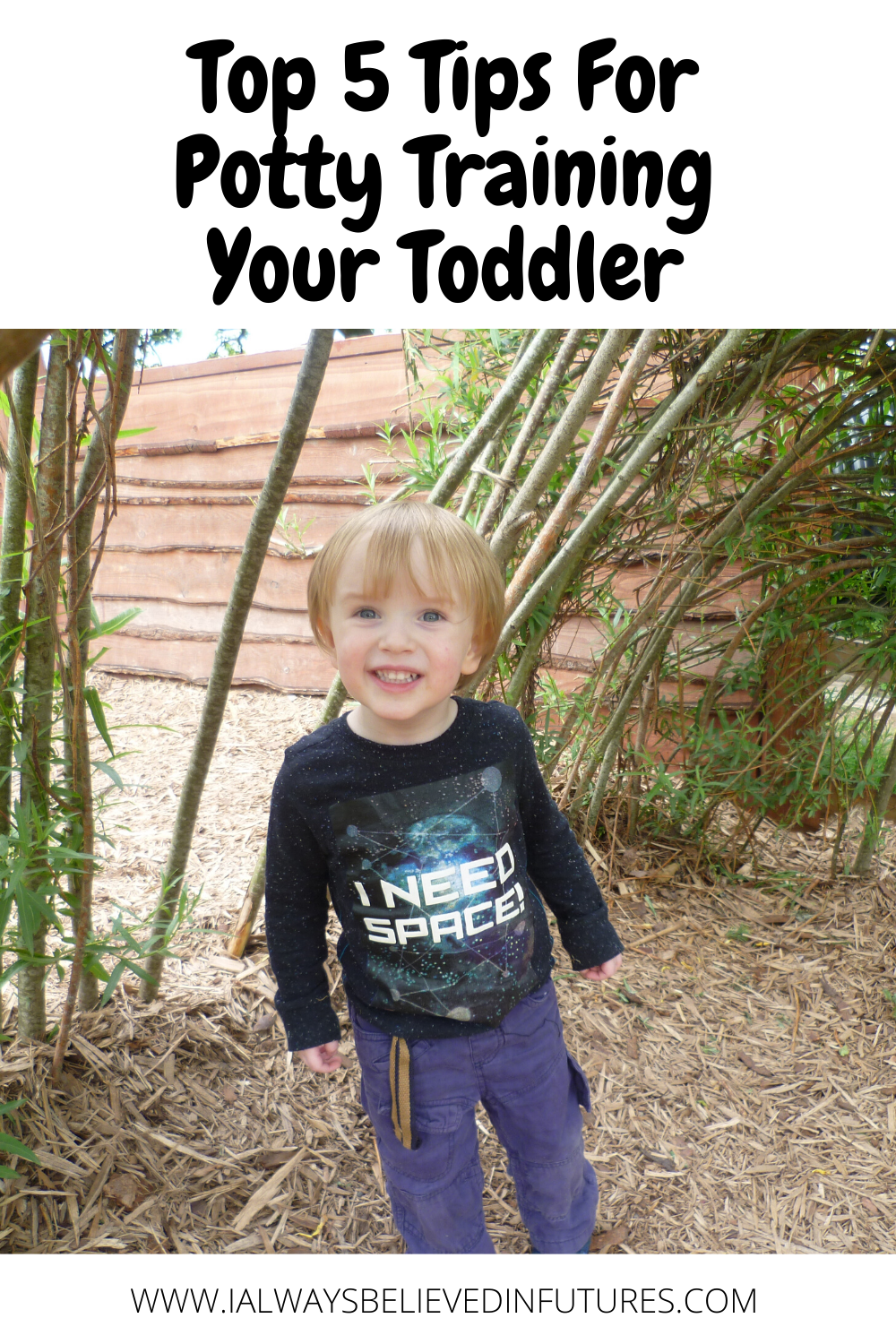 Top Five Tips For Potty Training Your Toddler