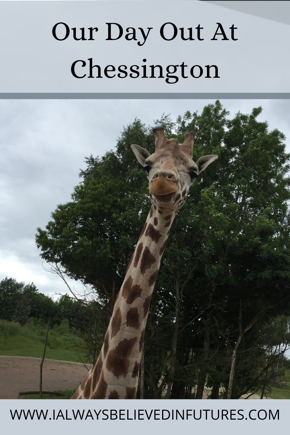 Our Day Out At Chessington