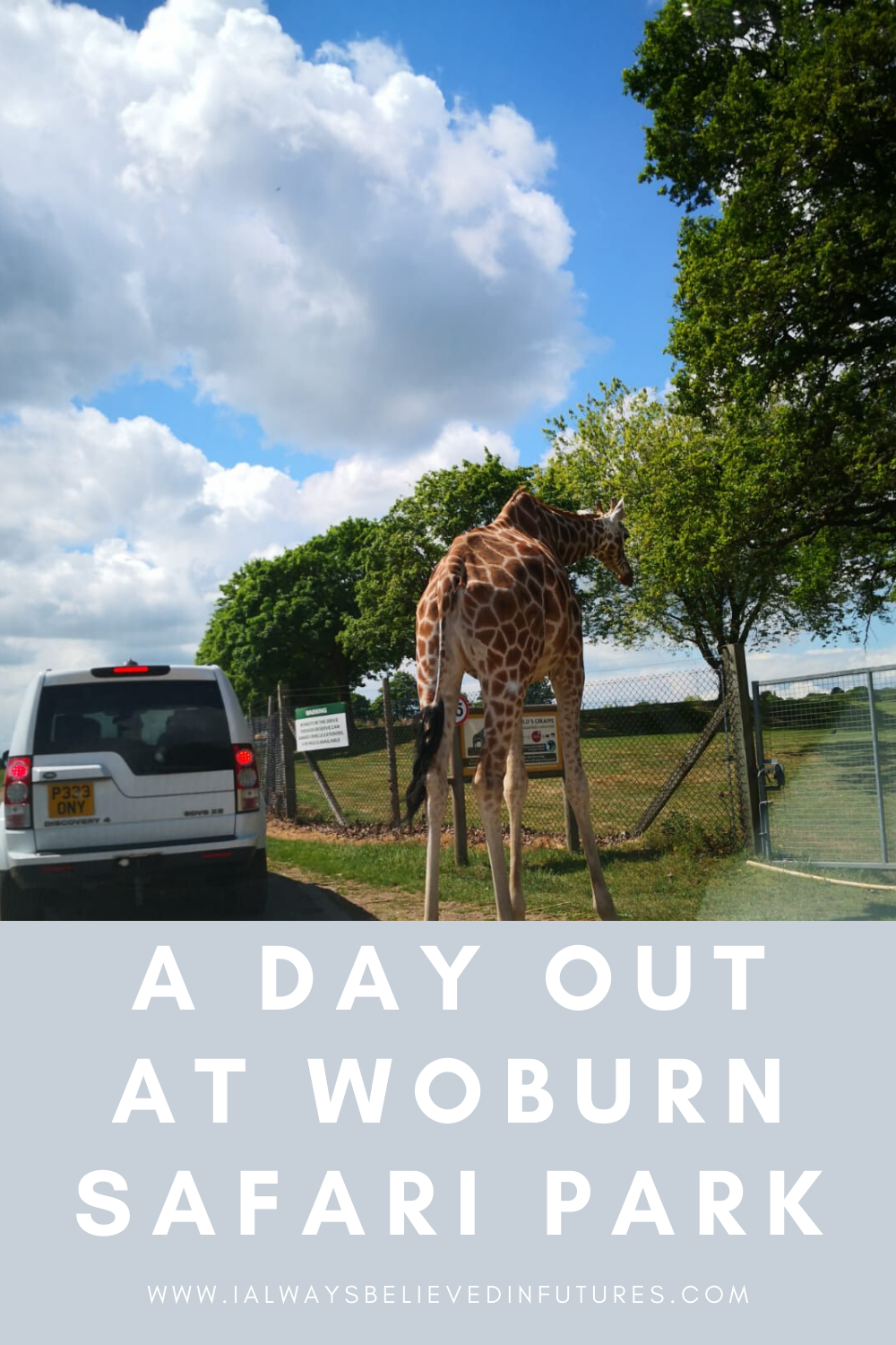 A Day Out At Woburn Safari Park