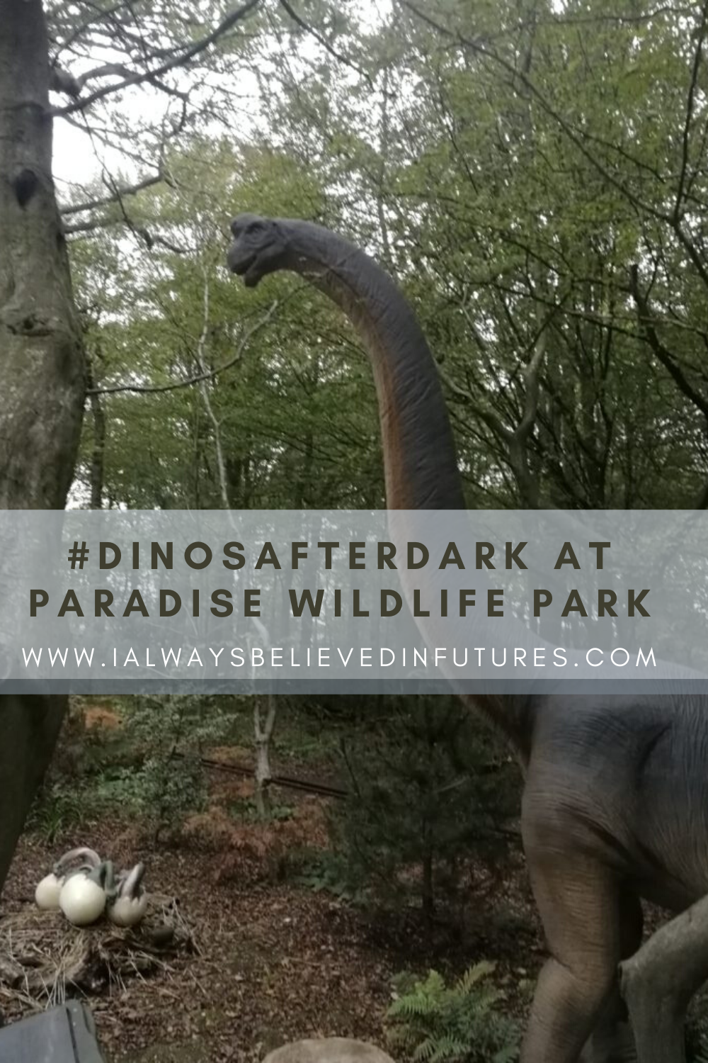 DinosAfterDark At Paradise Wildlife Park