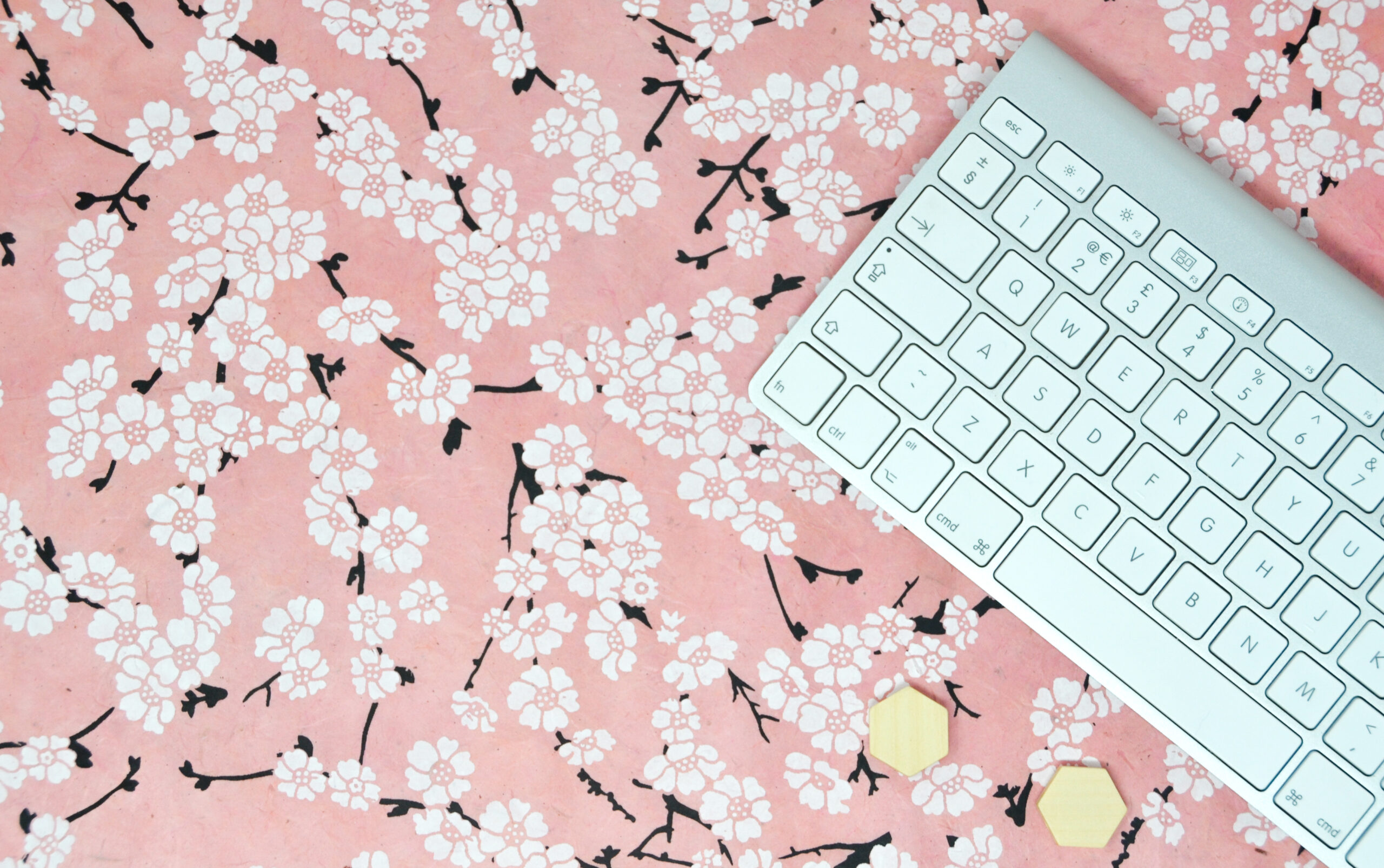 being a blogger