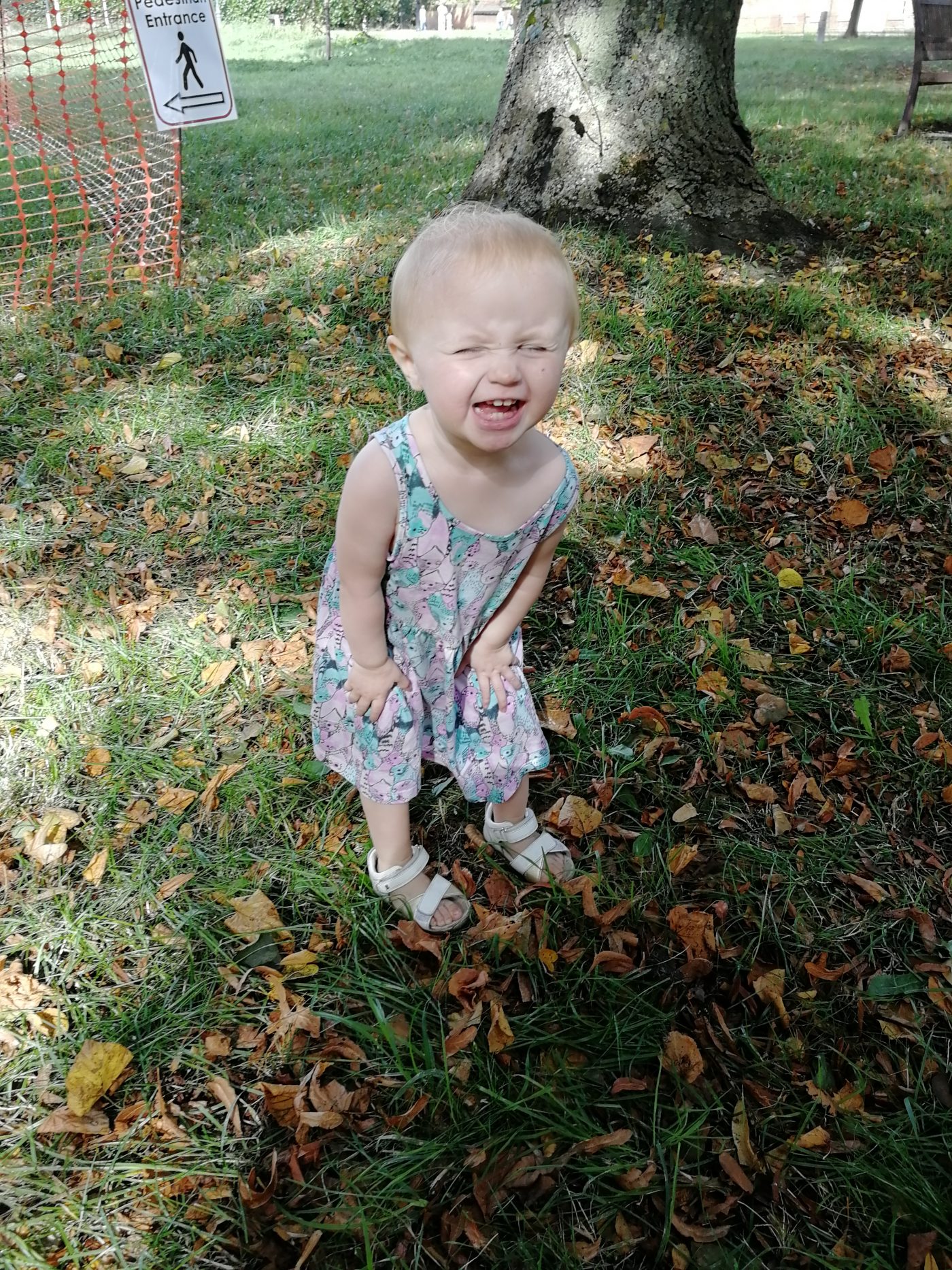 biting is common - picture of toddler