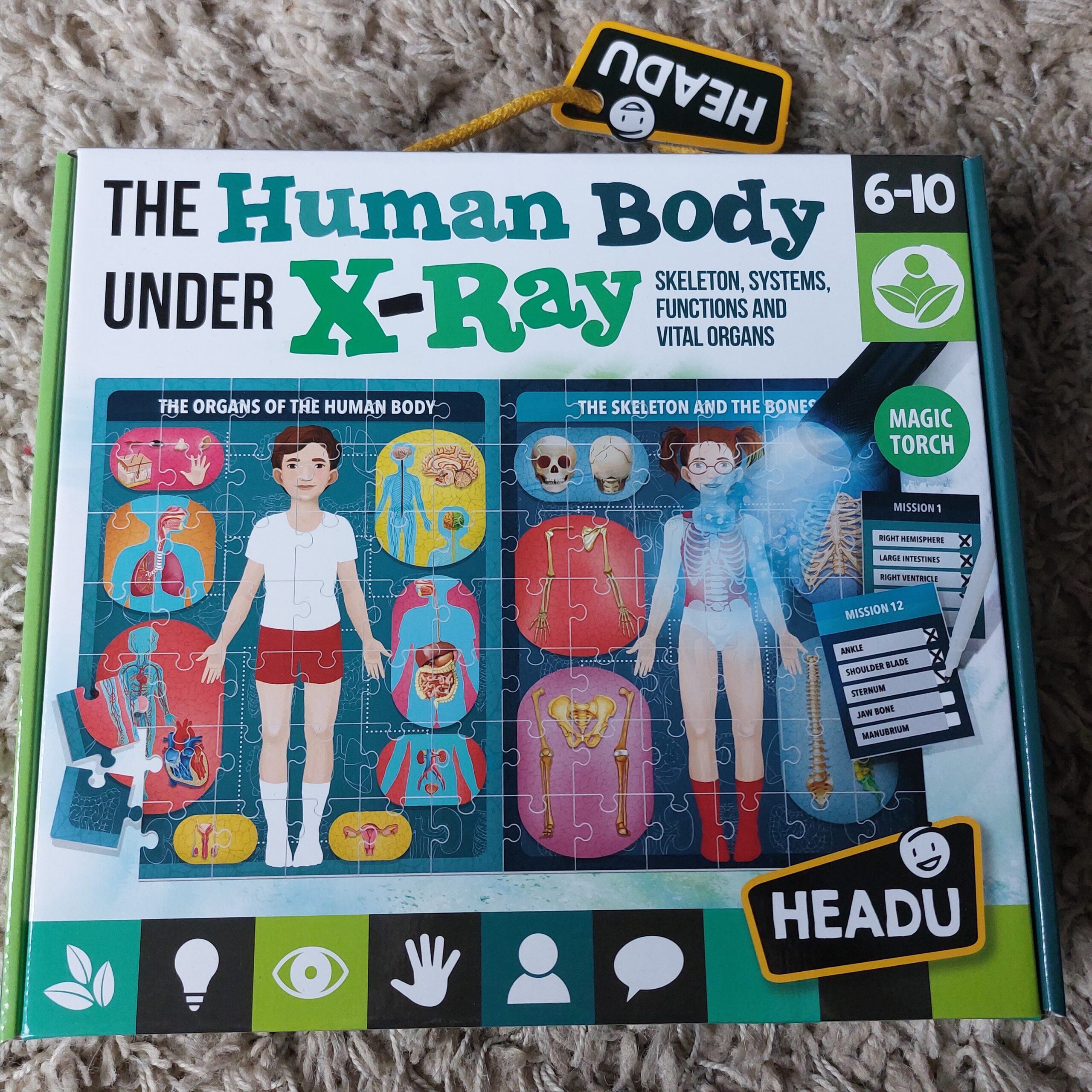Win The Human Body – Under X-Ray Game