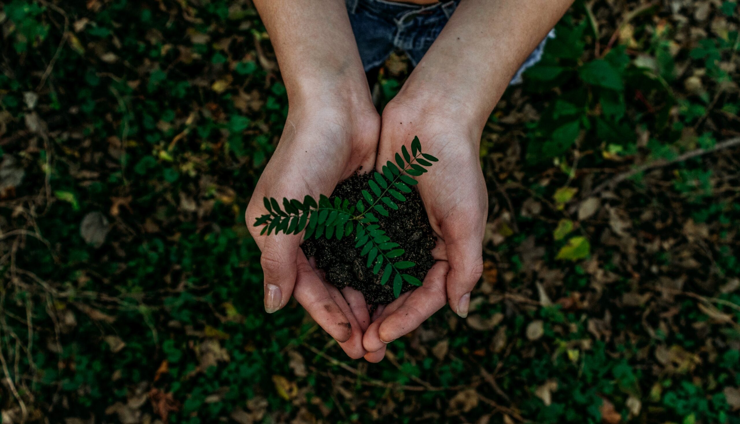 Eco-Friendly British Brands