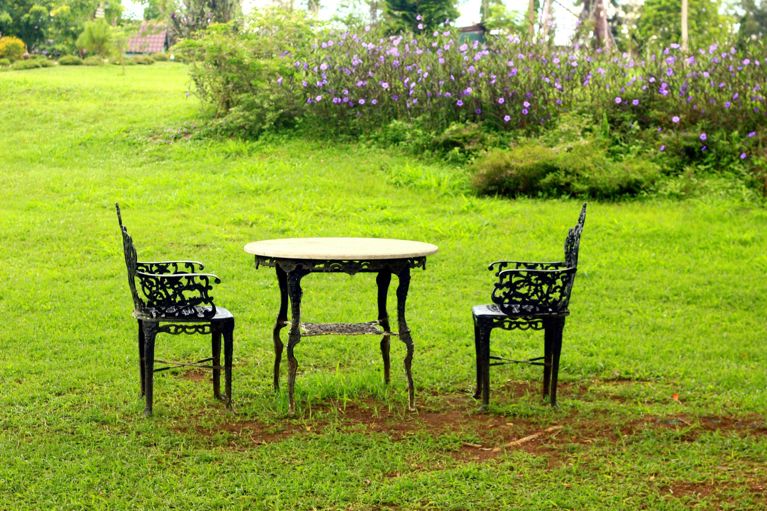 How to Reset Your Backyard in Five Minutes