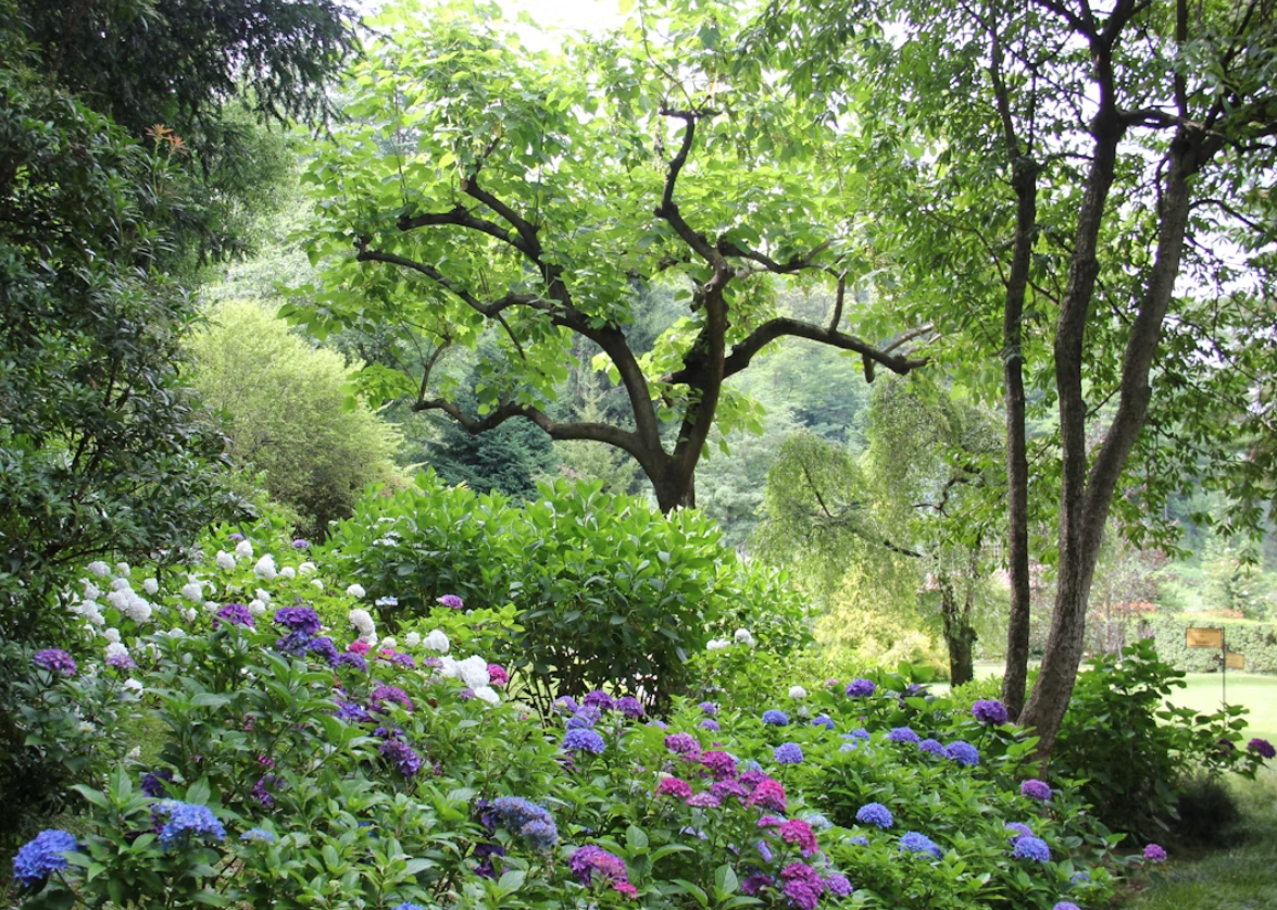 Creating a Garden That Will Keep Pests at Bay