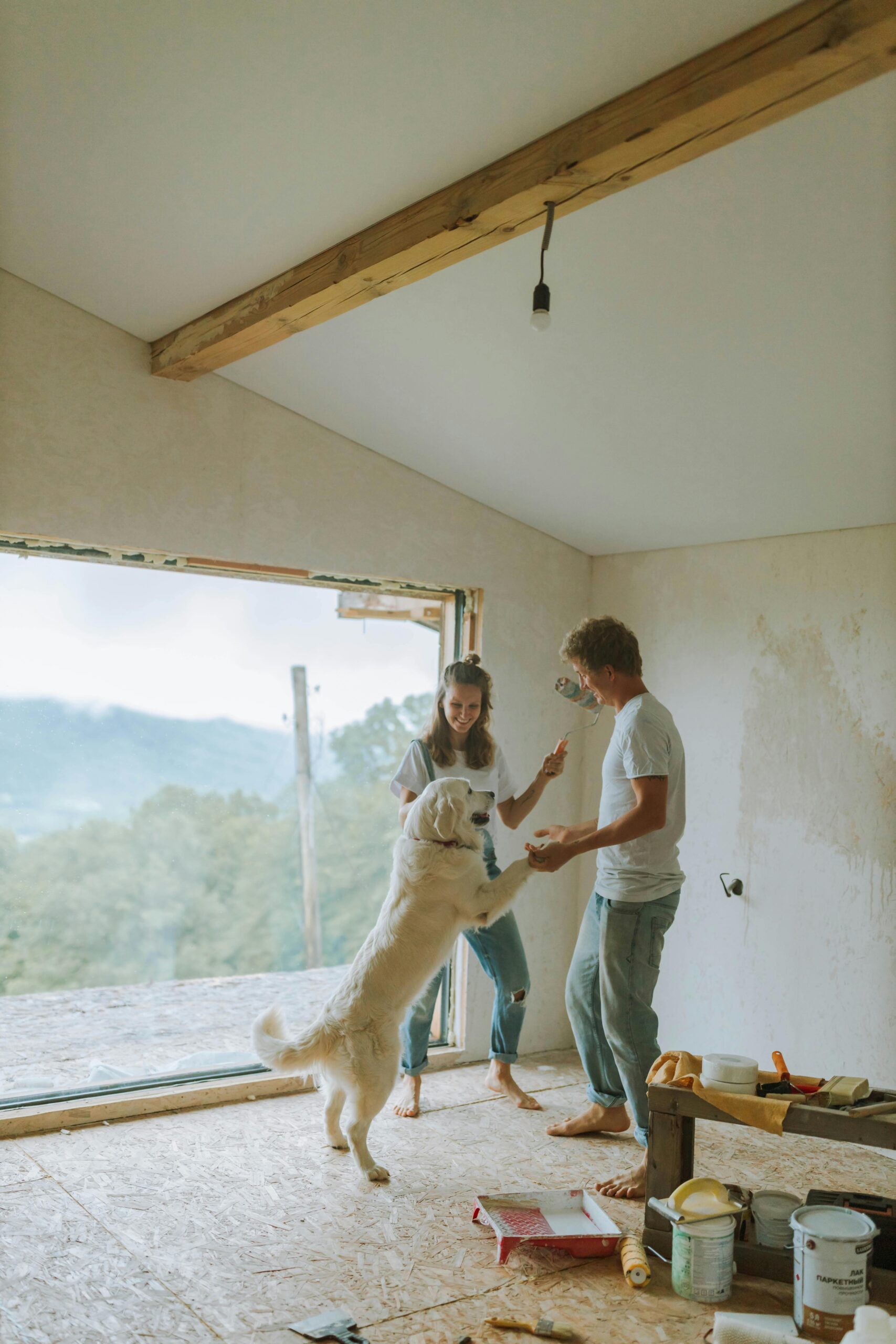 Before You Bring A Pet Into The Family, Consider These Critical 4 Things