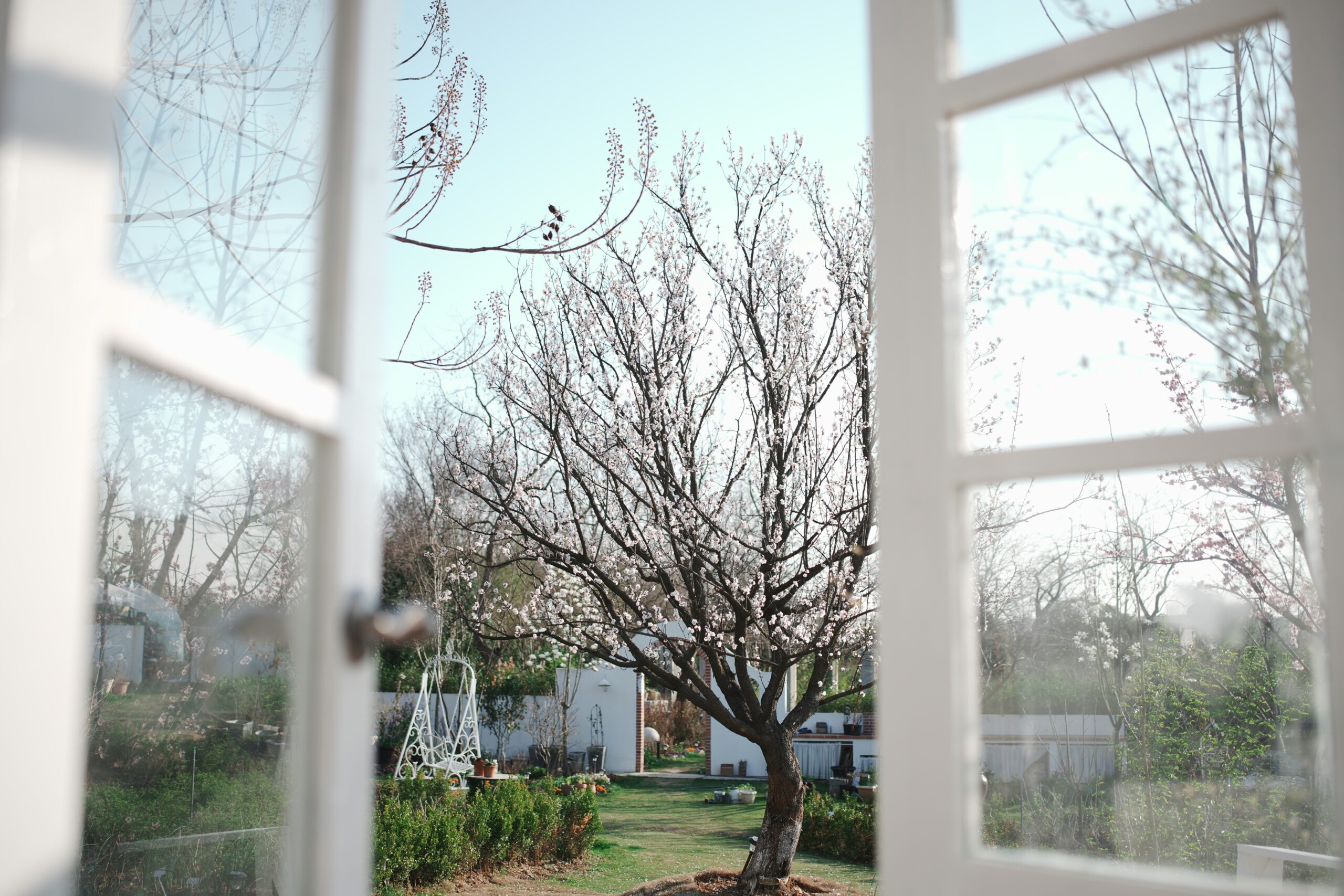 Get Your Garden Spring Ready: Ways to Starting the Season Fresh