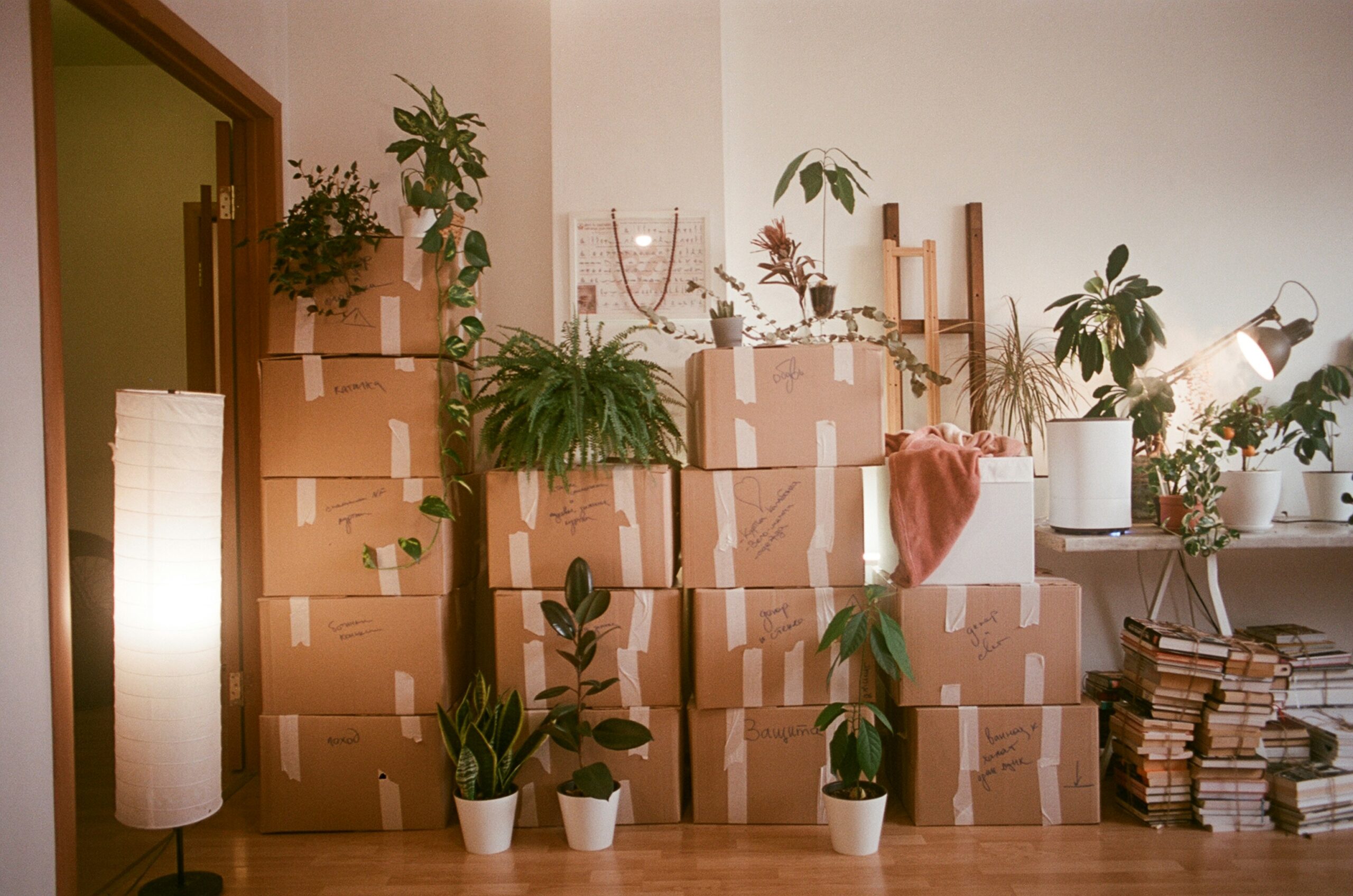 Smart Money Moves for a Stress-Free Relocation
